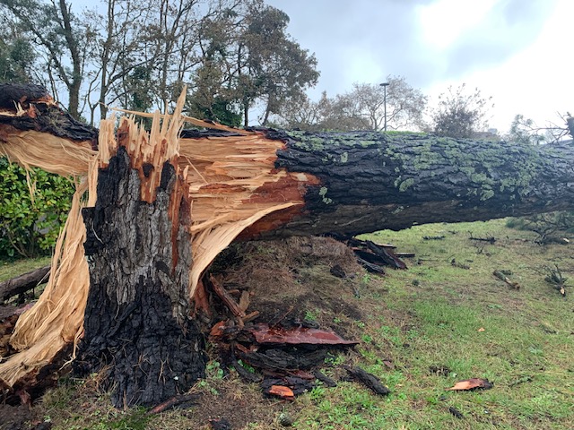 m'a redit tant de choses .