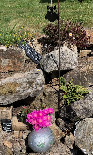  un des plus beaux matins du monde.