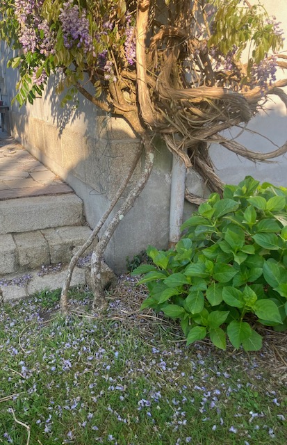 la tristesse et le bonheur.